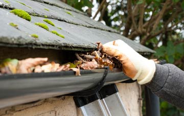gutter cleaning Wing