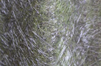 Wing fibreglass roof work